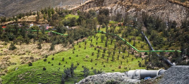 El plan anual de revegetación de Antamina se implementó desde un inicio con miras al cierre de nuestras operaciones.