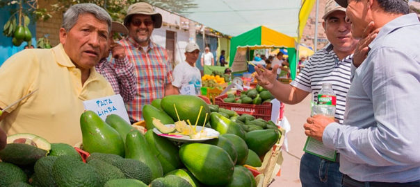 Chasquitambo: Festival de la Palta y Feria Gastronómica