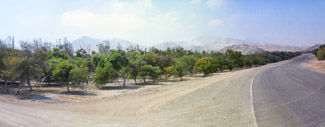 Untitled_Panorama4