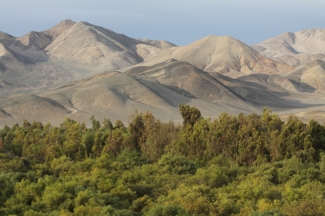 Vista panorámica del bosque de Huarmey