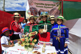 proyectos-productivos-cuyes-7454