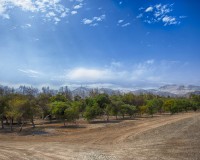 El bosque de Huarmey es creado gracias nuestro mineroducto que traslada el concentrado mineral, donde el 40% es agua.