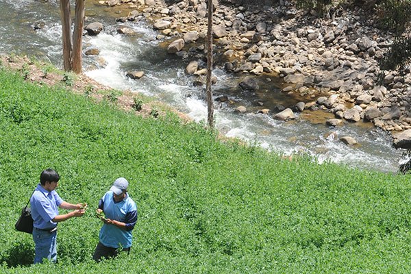 Desarrollo sostenible: Proyectos de desarrollo productivo en la zona de influencia Desarrollo sostenible: Proyectos de desarrollo productivo en la zona de influencia