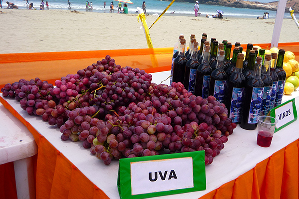 Festiverano-2015-huarmey