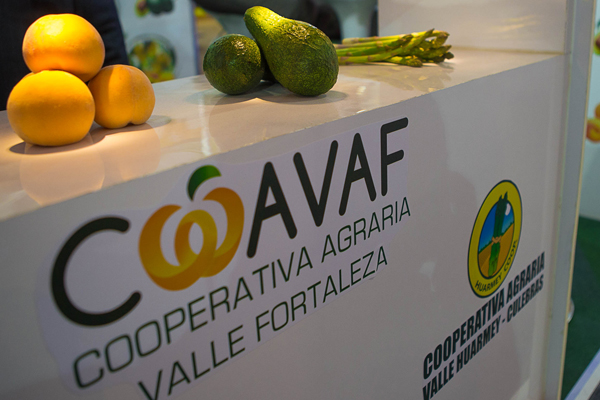 cooperativa-valle_fortaleza