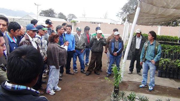 Pasantía de productores de melocotón - Huaral huaral-productores-melocoton2