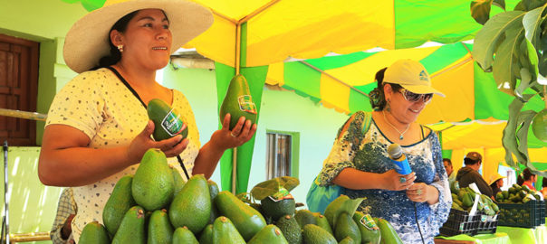 Festival de paltas en Chasquitambo.