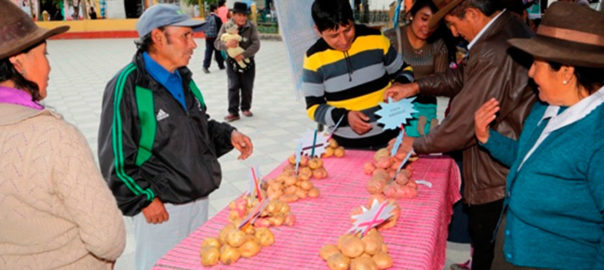 Proyectos productivos presentes en San Marcos.