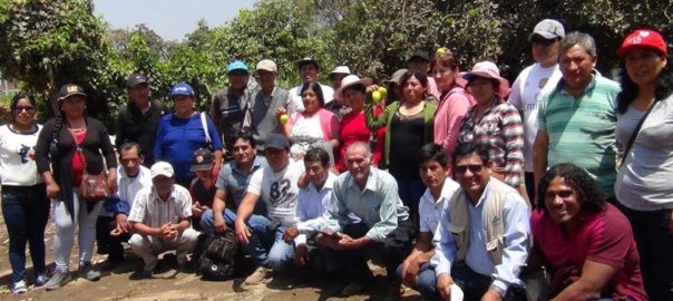 Antamina apoyó a los productores de paltas del Valle Fortaleza.