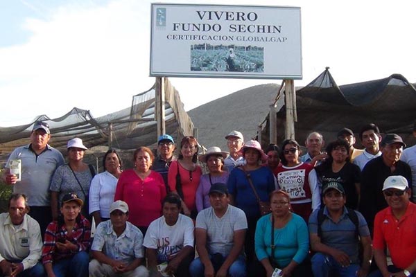 Antamina apoyó la participación de los roductores de paltas del Valle Fortaleza