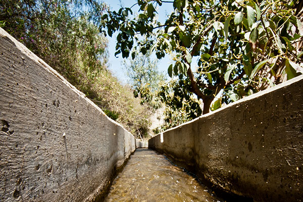 Obras por impuestos potenciará producción de paltas, duraznos, chirimoyas, papas y avena que existe en zona de influencia de la minera
