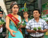 Chasquitambo: exitoso Festival de la palta