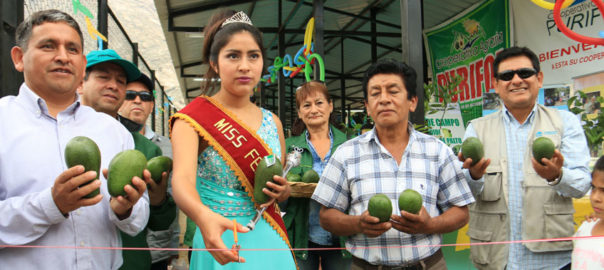Chasquitambo: exitoso Festival de la palta