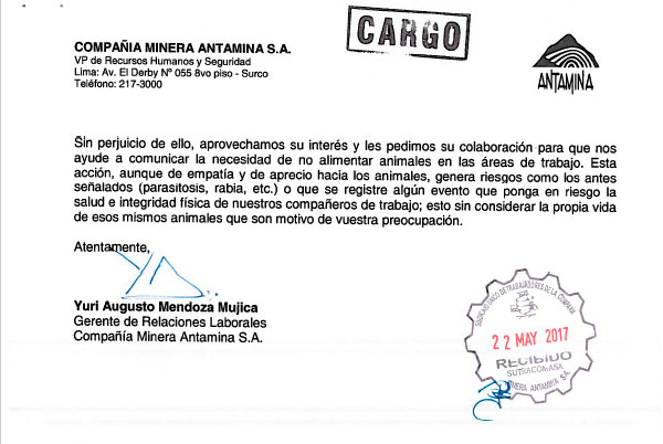 Inexistente caso de maltrato animal: Antamina responde a su sindicato