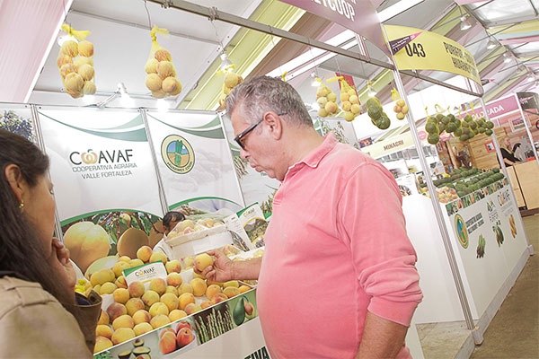 Mistura 2017: Productores agrarios de la Cooperativa Agraria Valle Fortaleza (COAVAF) participará con sus productos de melocotones.