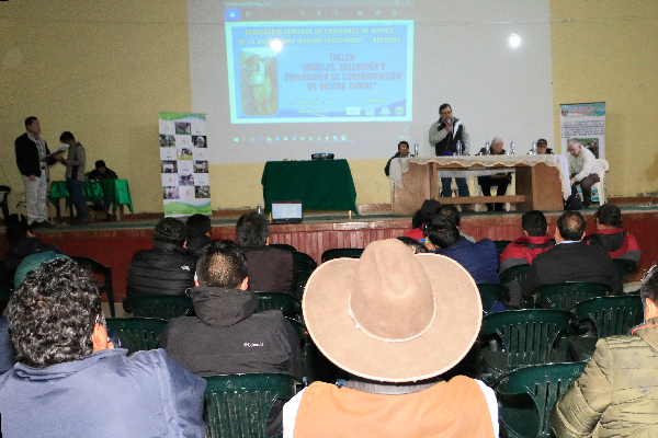 Proyectos productivos: Más de 900 comuneros en Cátac reciben taller sobre técnicas de mejoramiento genético de ganado