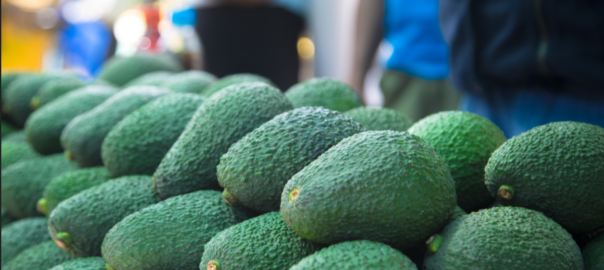 Festival de la Palta y Feria Gastronómica de Chasquitambo