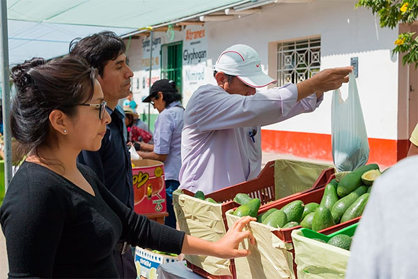 Chasquitambo: Festival de la Palta y Feria Gastronómica
