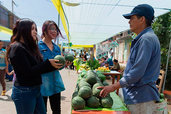 Chasquitambo: Festival de la Palta y Feria Gastronómica