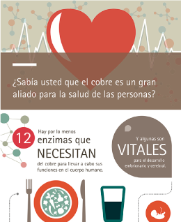 salud cobre 