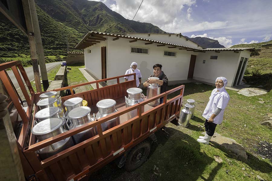 Cooperativa Agraria Carhuasaqui producción
