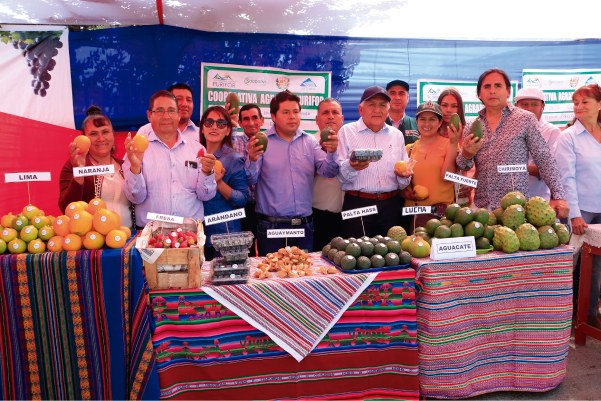 Frutos como chirimoya, ciruela, lima, mandarina, maracuyá, entre otros.