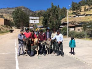 Proyecto ganadero