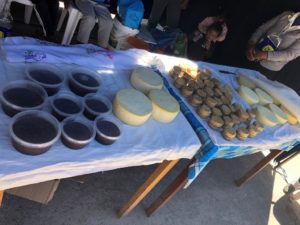 Proyecto ganadero
