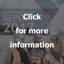 Reporte de Sostenibilidad 2017