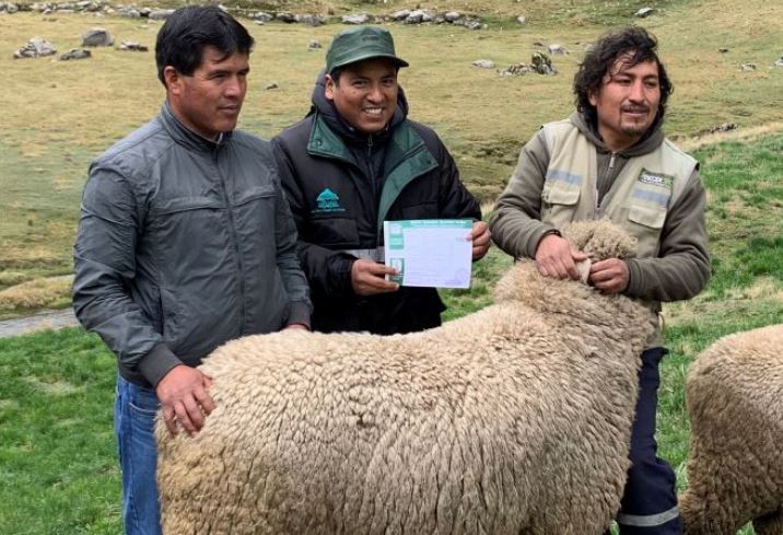 Proyecto Pecuario Comunal en Huaripampa, con el apoyo de Antamina.