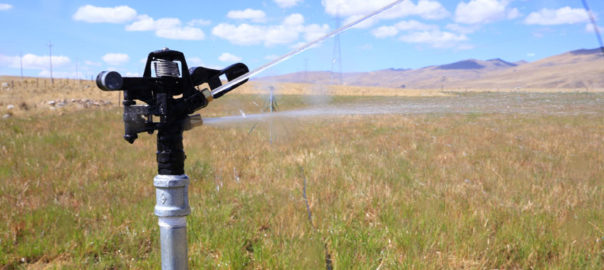 DÍa Mundial del Agua