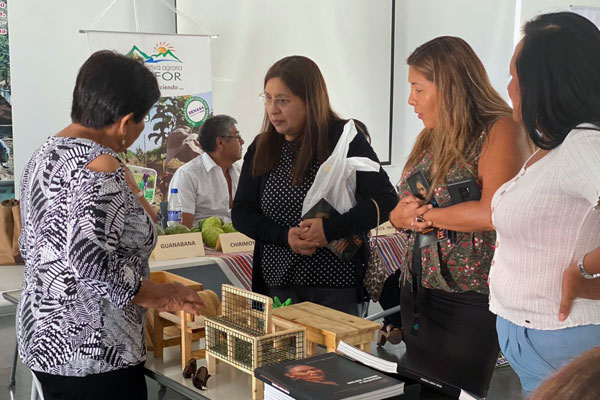 mujeres ancashinas liderando el cambio