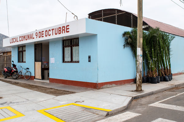 Vecinos de Huarmey siembran árboles en las comunidades de Puerto Huarmey y 09 de Octubre