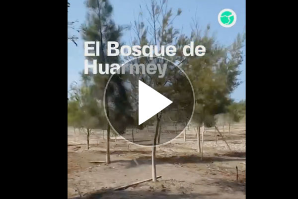 bosque de huarmey