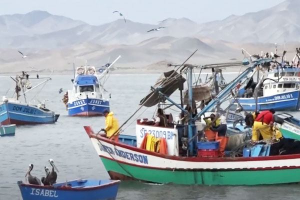 Día del pescador: 29 de junio