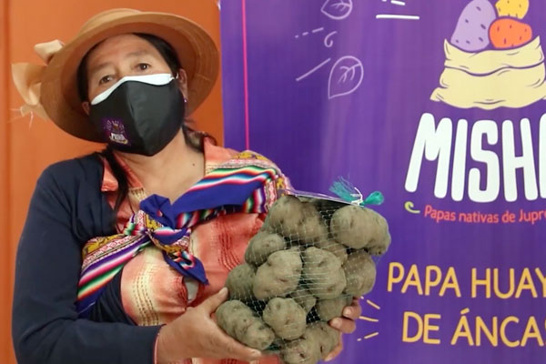 Papa nativa Juprog