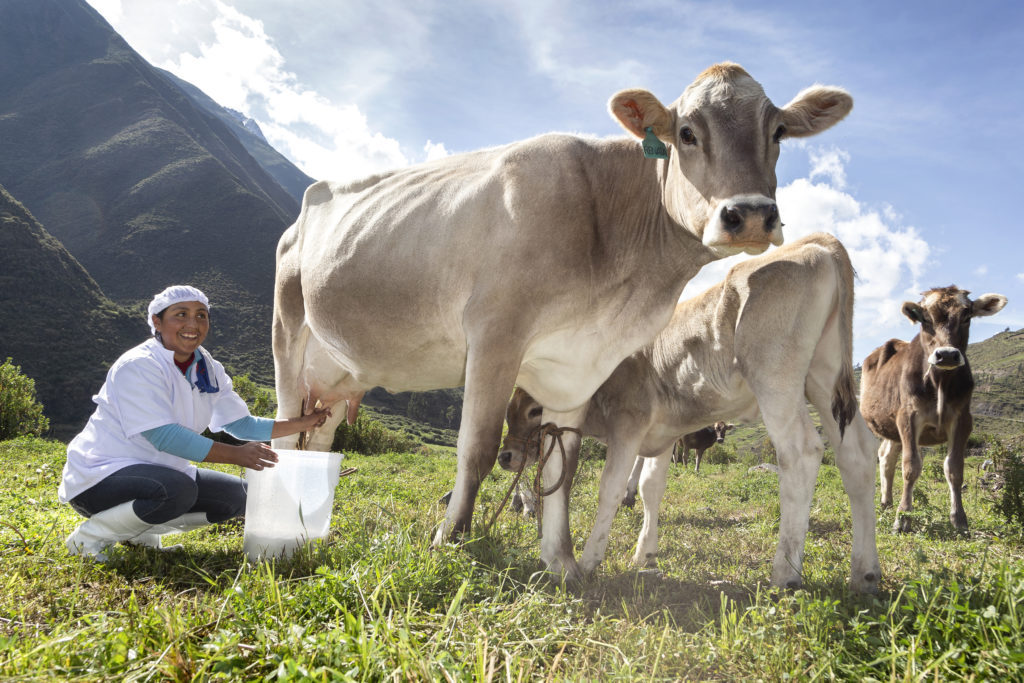El programa de DDHH promueve proyectos productivos para beneficio de la comunidad en las áreas de influencia operativa como lo son Barranca, Bolognesi, Huamalíes, Huarmey, Huari, San Marcos y Recuay.