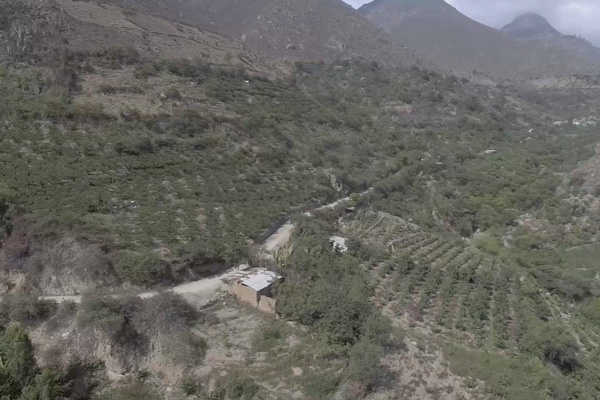 Obras por Impuestos