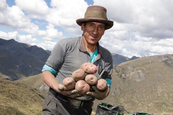 Día del campesino