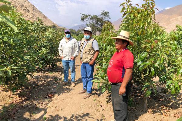 Proyecto de mejora de agricultura en Pararín fue reconocido en los premios ProActivo 2022