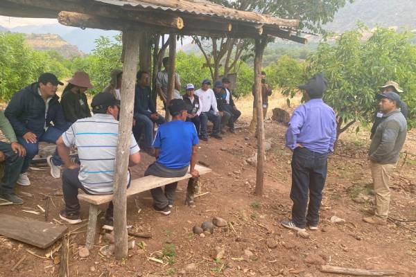 Intercambio de experiencias en pasantía de proyectos productivos