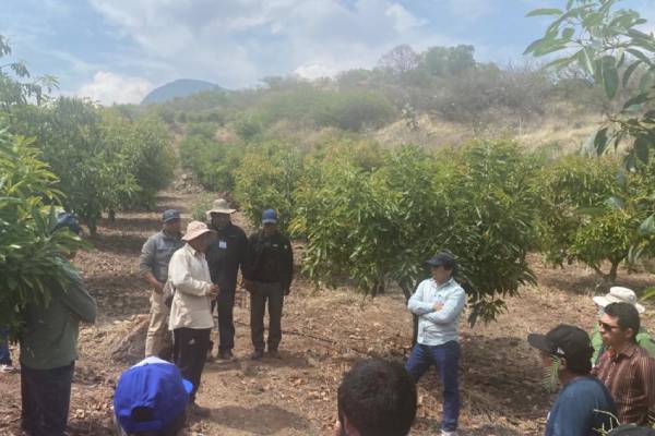 Pasantía sobre proyectos productivos en Chasquitambo