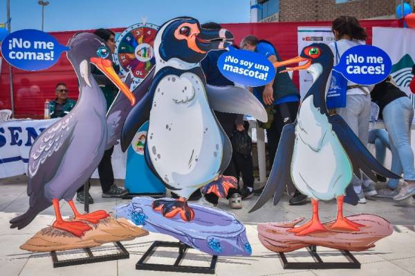 Campaña de conservación de fauna silvestre marino- costera de Huarmey