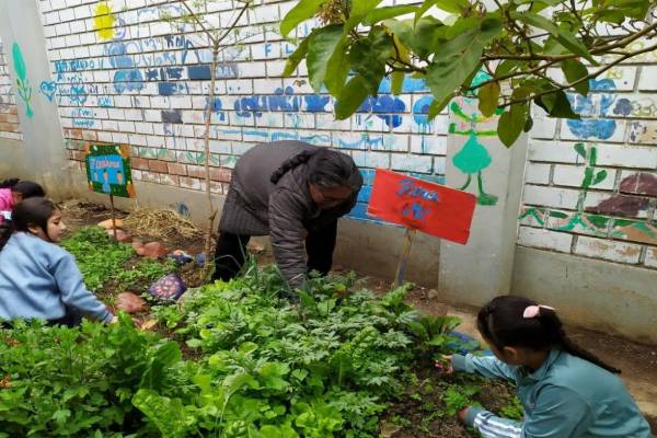 Nuevos jardines en colegios de Huari y Huarmey