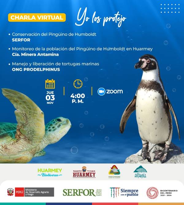 Charla virtual ¡Yo los protejo!