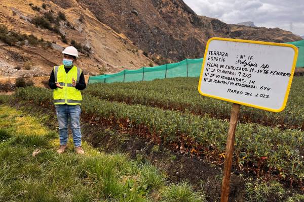 Nueva área forestal en Santa Cruz de Pichiú