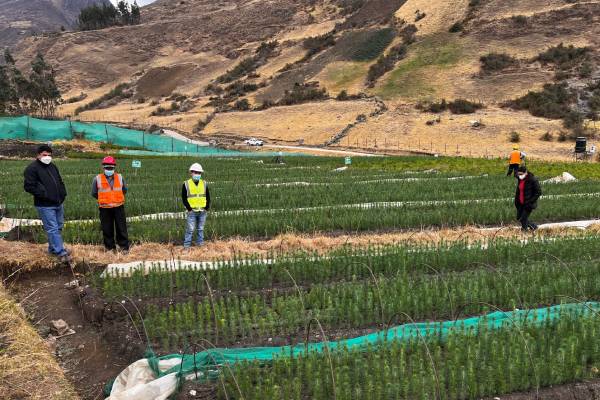 Nueva área forestal en Santa Cruz de Pichiú