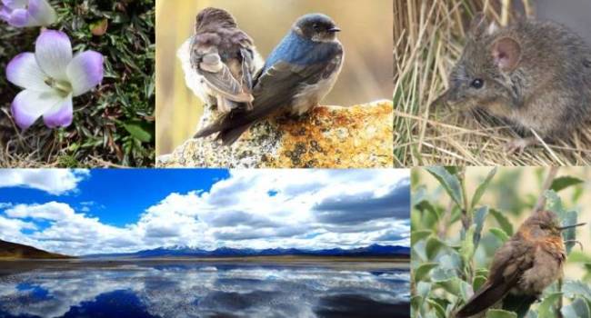 Semana de la Educación Ambiental 2022