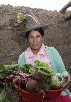 Cultivo de hortalizas
