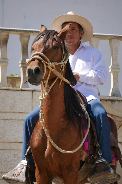 Este evento busca resaltar y valorar la tradición del caballo de paso en Huasta